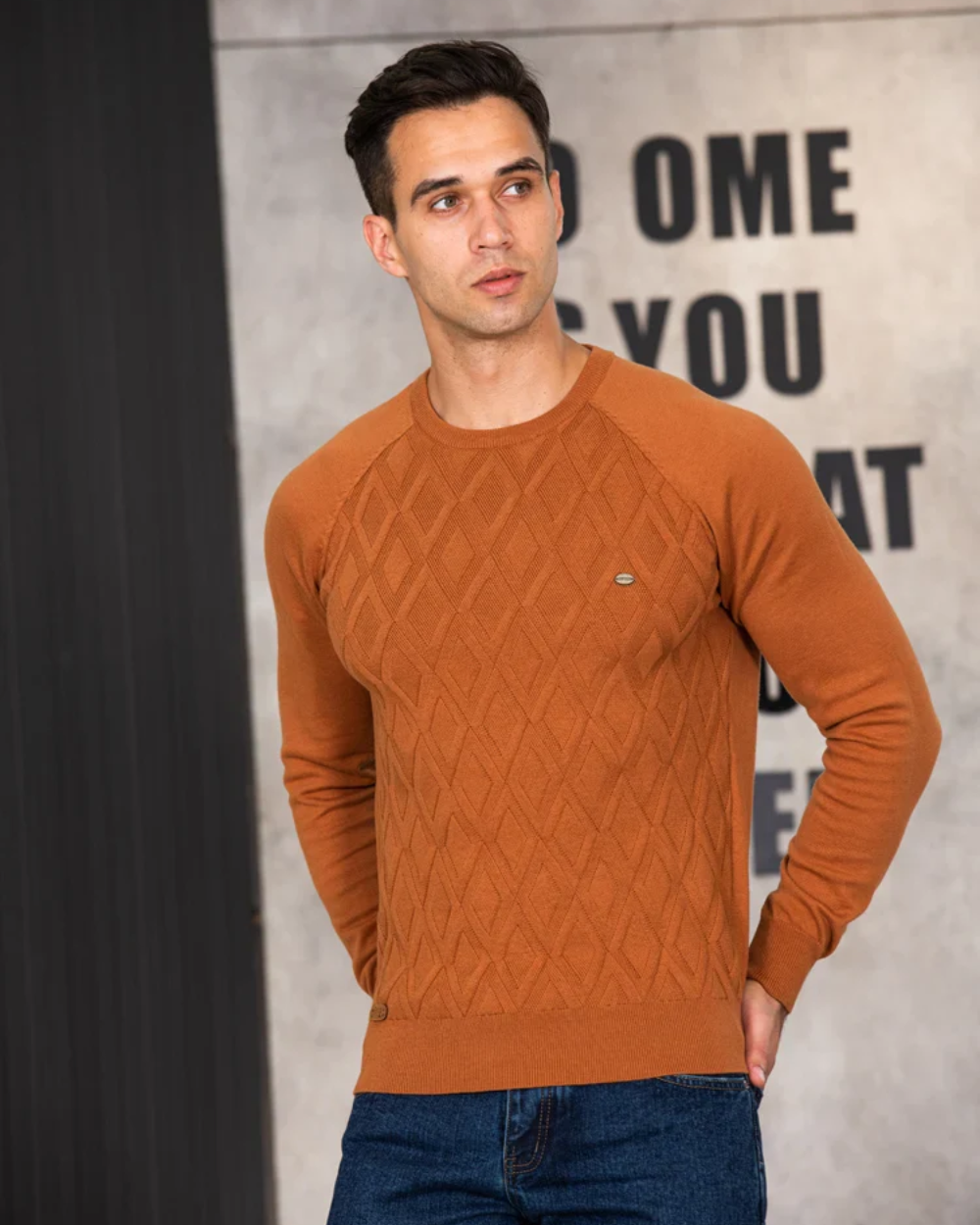 Men's Checked Design Sweater