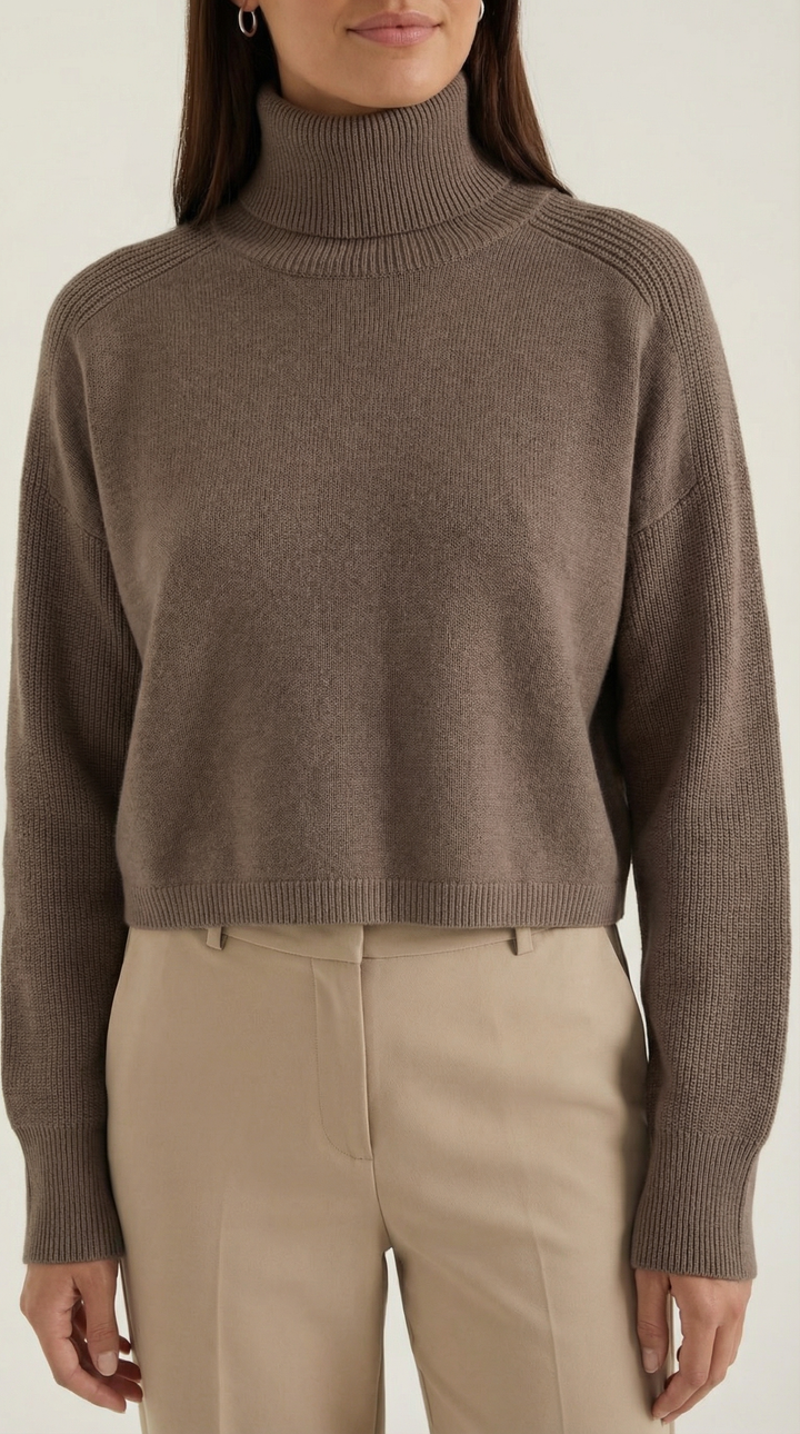 Denise Knitted Turtleneck Sweater